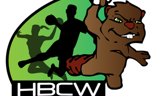 Handball Club de Wintzenheim